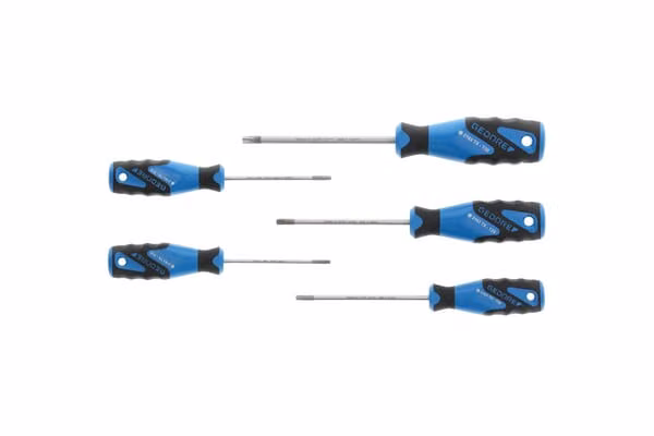 Набір викруток Torx® (5x)
