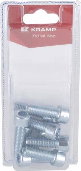 Гвинт з внутрішнім шестигранником M10 x 30 мм, 8.8 (10 шт.) KR9121030P10B