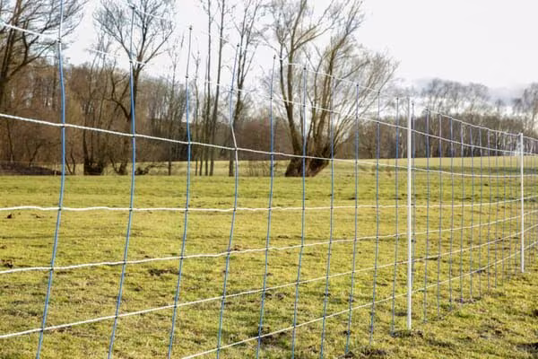 TitanNet bl/wh 25 м 145 см подвійний зубець